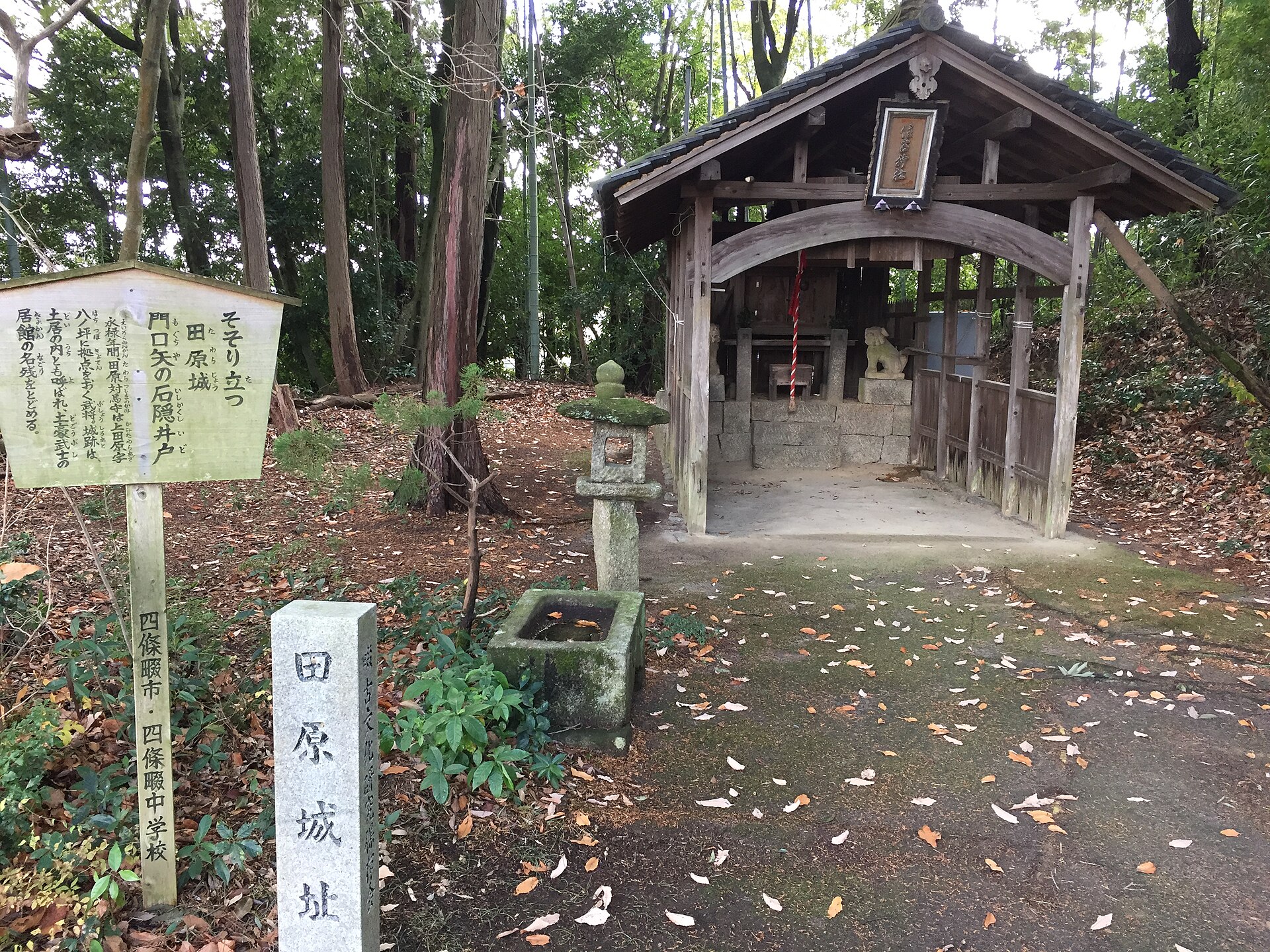 田原城跡の現地に残る曲輪と斜面の地形
