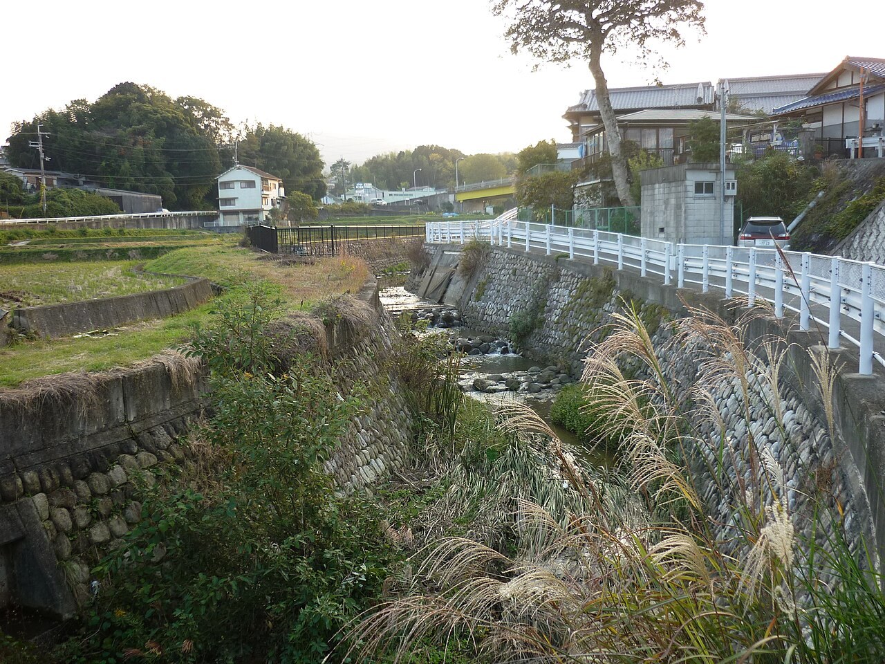 田原城跡周辺に広がる集落と田園